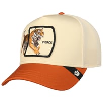 Gorra Migration Fierce by Goorin Bros. - 49,95 &euro;