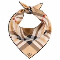 Pa�uelo de Seda Classic Check by Fraas - 35,95 &euro;