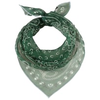 Pa�uelo de Seda Paisley by Fraas - 39,95 &euro;