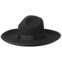 Sombrero de Carpintero negro